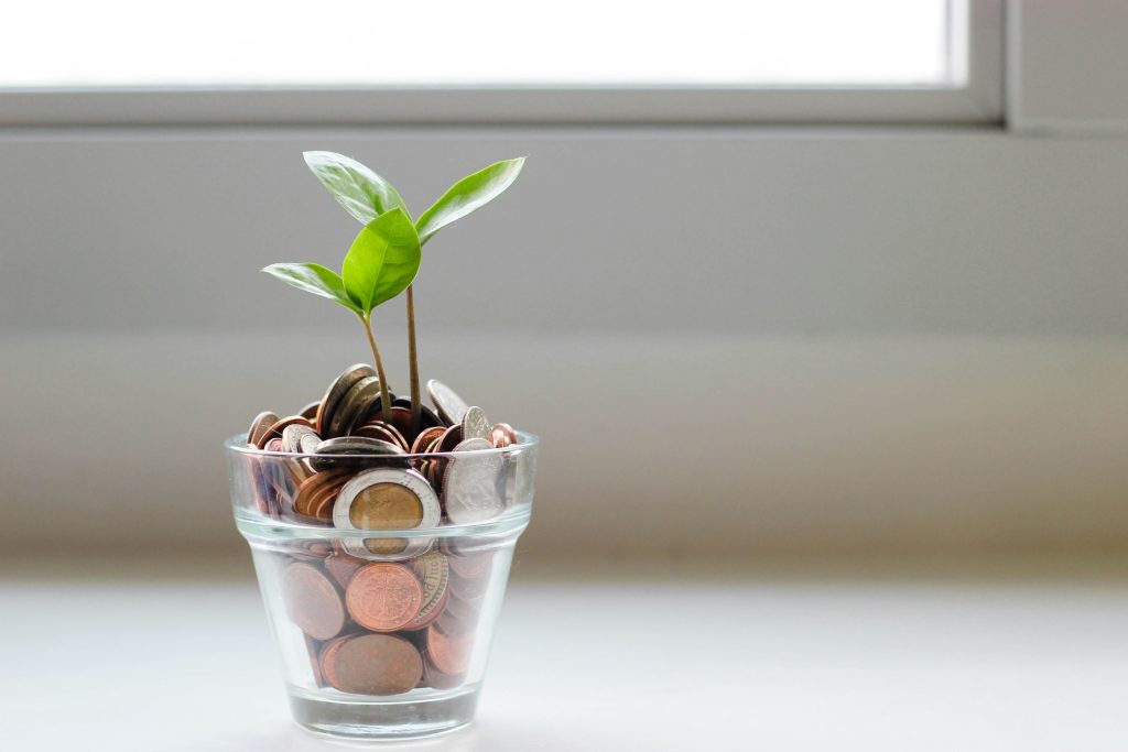 Transparent glass vase filled with coins and a small green plant growing out of it in a bright room, symbolizing financial growth and how to invest your money wisely.