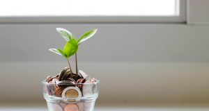 How To Invest Your Money Transparent glass vase filled with coins and a small green plant growing out of it in a bright room, symbolizing financial growth and how to invest your money wisely.