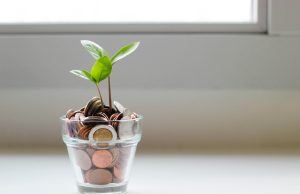 How To Invest Your Money Transparent glass vase filled with coins and a small green plant growing out of it in a bright room, symbolizing financial growth and how to invest your money wisely.